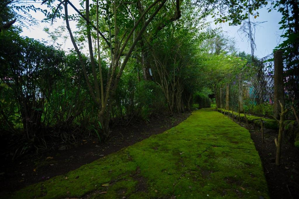 Hotel Kodai International Kodaikanal Eksteriør billede
